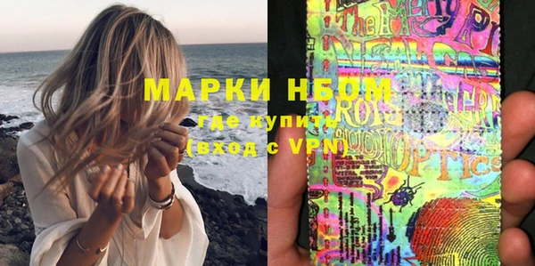 прущие грибы Арсеньев