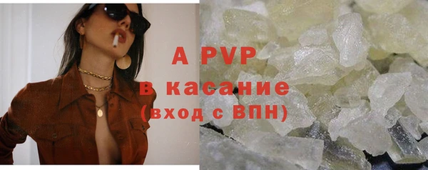 прущие грибы Арсеньев