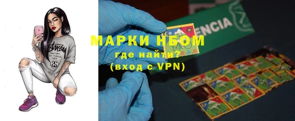 прущие грибы Арсеньев