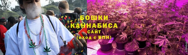 прущие грибы Арсеньев