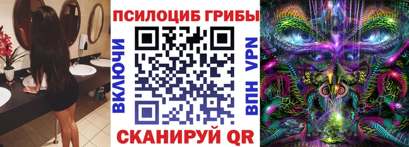 Псилоцибиновые грибы мухоморы  купить наркотик  маркетплейс официальный сайт  Баксан 