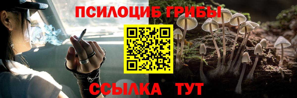 Псилоцибиновые грибы прущие грибы  Вход с VPN  Баксан 