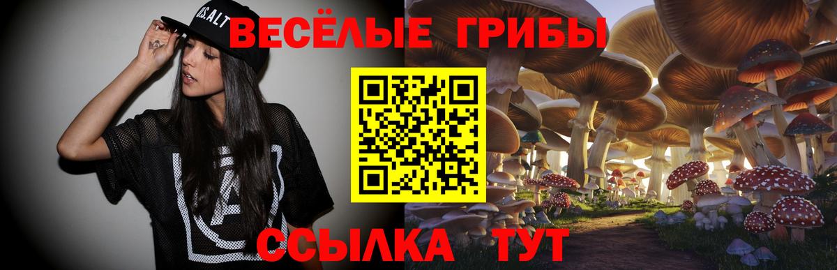 Галлюциногенные грибы мухоморы Баксан